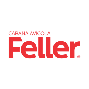 FELLER 1024x1024 positivo